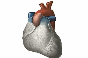 Увеличение правого желудочка сердца причины