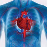 Признаки сердечного приступа инфаркт миокарда