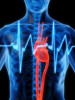 Опасность аритмии сердца