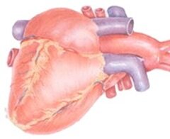 Приобретенные пороки сердца лечение