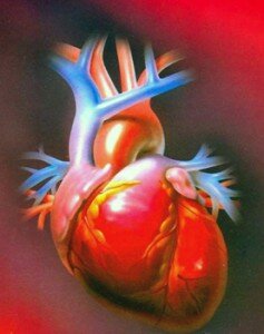 Ибс ишемическая болезнь сердца