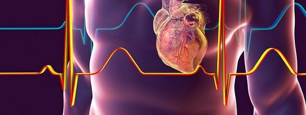 Болезнь сердца и аномальный сердечный ритм (аритмия)