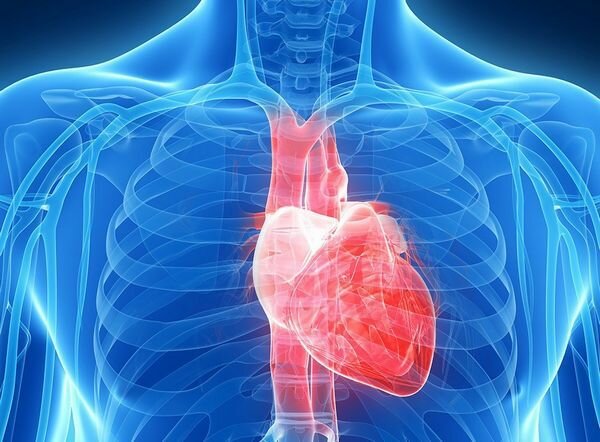 Что происходит с вашим телом, когда у вас сердечный приступ