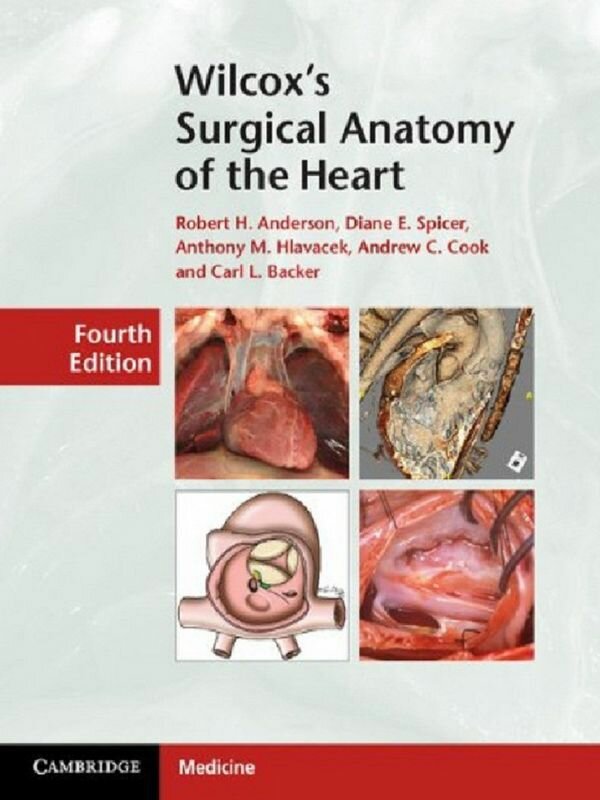 Хирургическая анатомия сердца Уилкокса, 4-е издание PDF